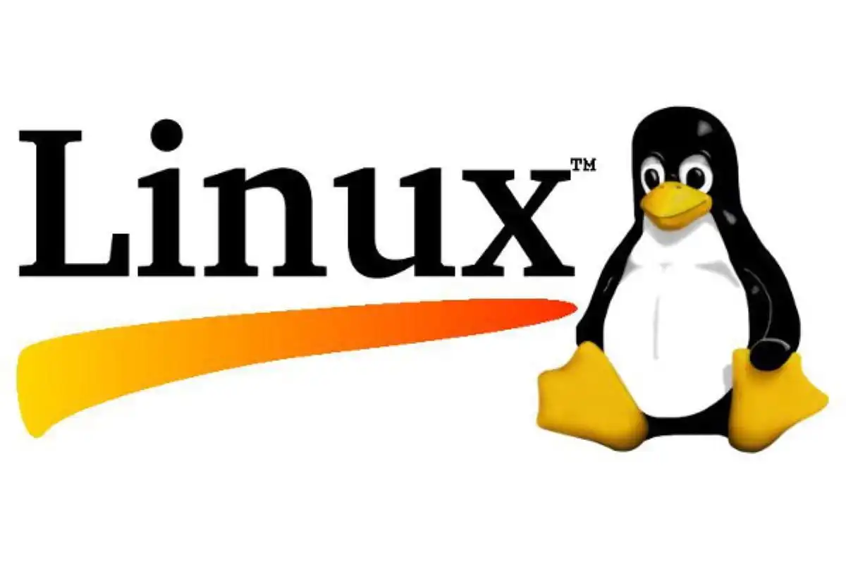 Article de blog sur Qu'est-ce que Linux ?